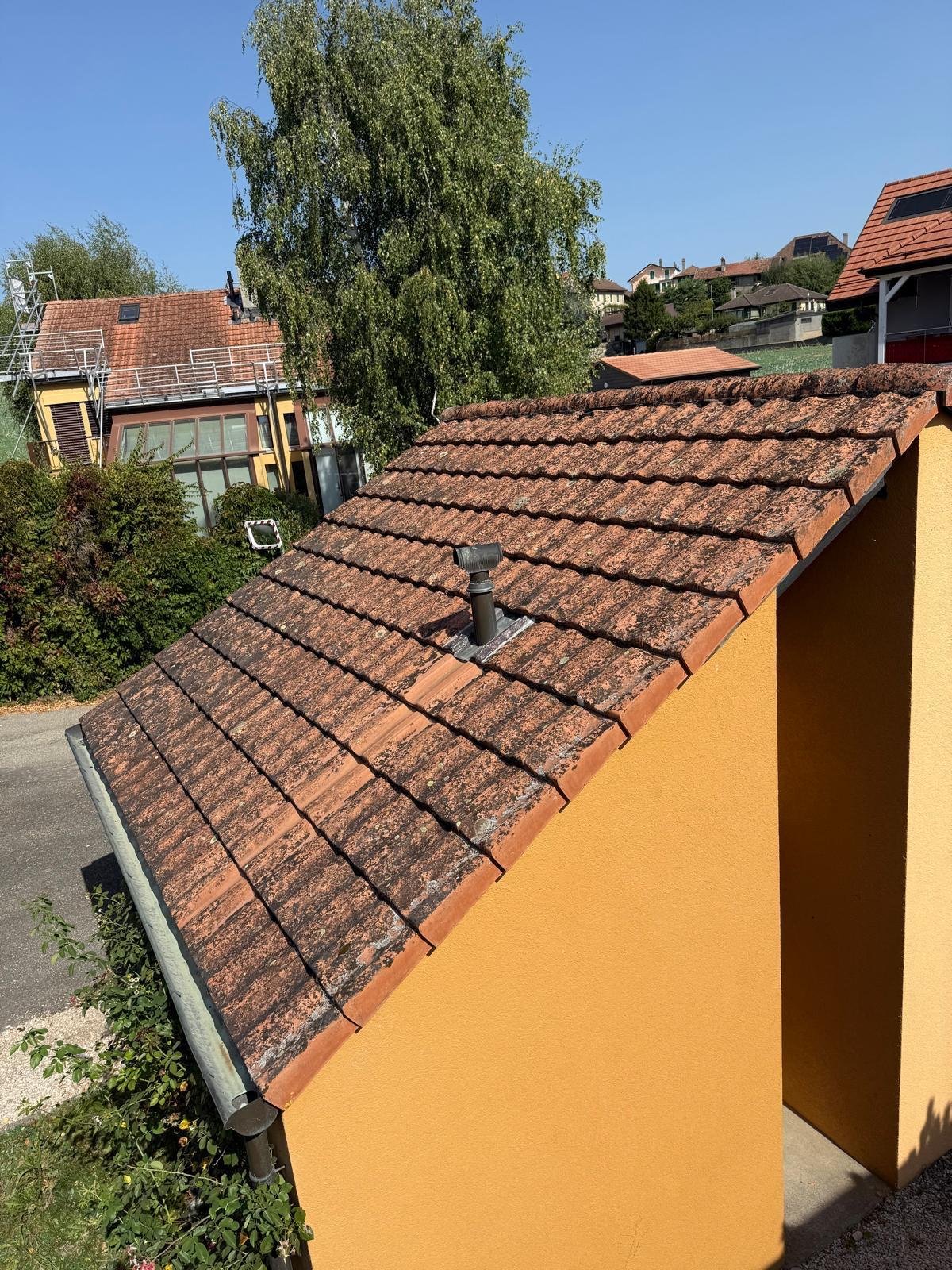 Before image